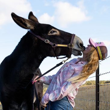A woman and a donkey share a playful moment outdoors.
