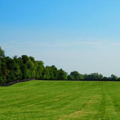 terra clear land solutions pasture reclamation