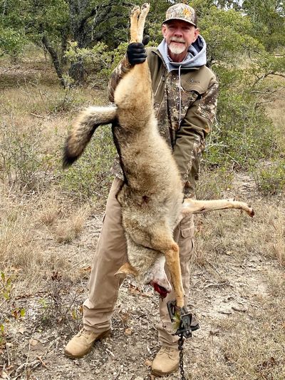 Steven Bridges has years of experience controlling predators and protecting wildlife, exotics and li