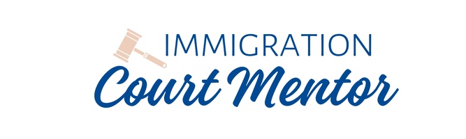 Immigration court mentor