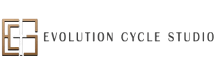 Evolution Cycle Studio