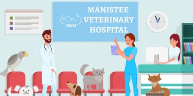 Veterinary staff caring for various pets in a bright clinic waiting room.