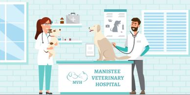 Veterinarians examining pets at Manistee Veterinary Hospital.