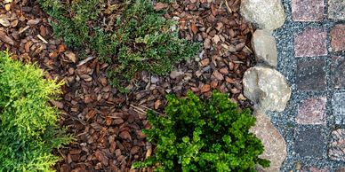 mulch with rock border and plants