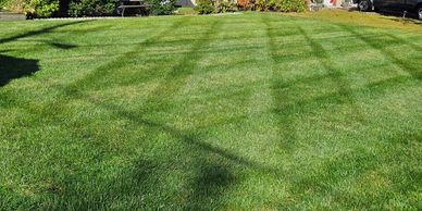 lawn maintenence