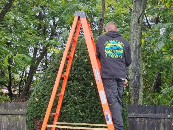 Shrub care in Brick, NJ