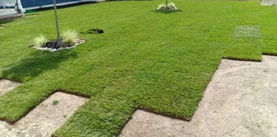 sod installation