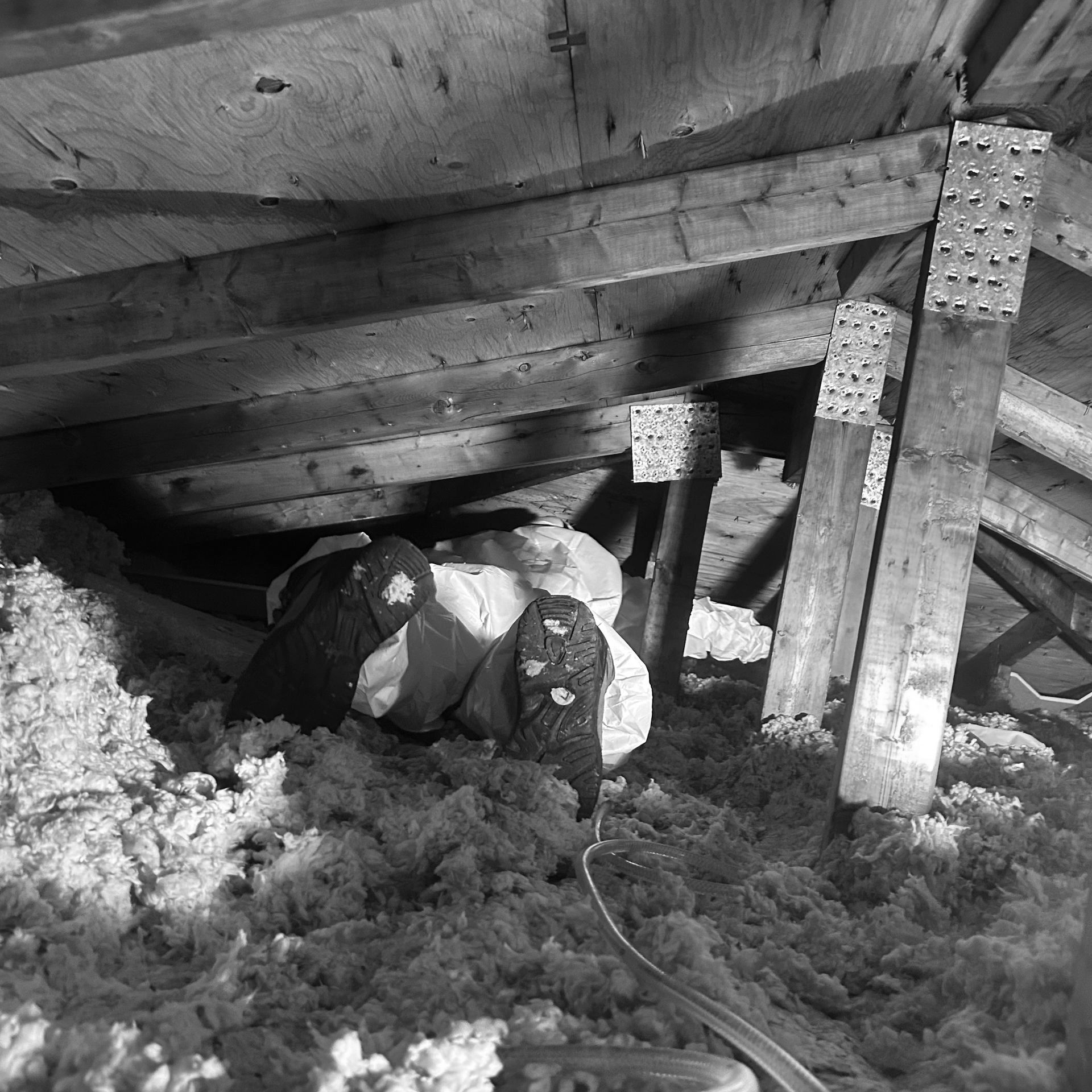 Certified tech performing mould remediation in an attic using full PPE and professional equipment.