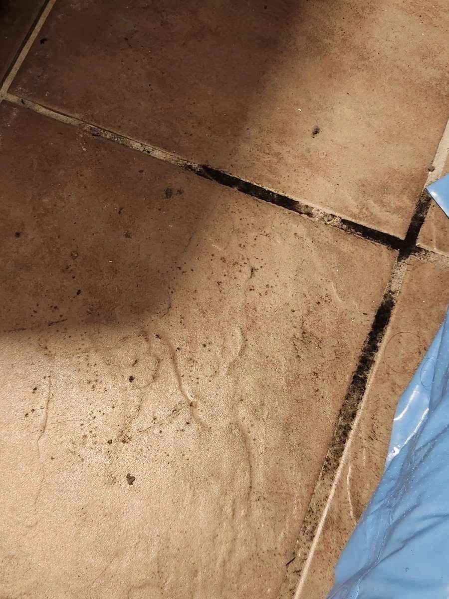 Vapour Barriers: Why Basement Walls Sweat in Winter