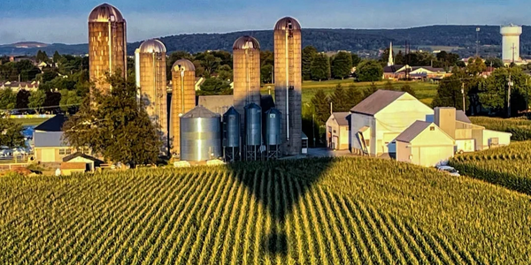 Amish farms wih a shadow from our hot air balloon in Amish Country of Lancaster County

