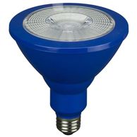 Blue LED Flood Light