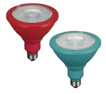 LED Flood Light