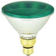 Green Flood Light