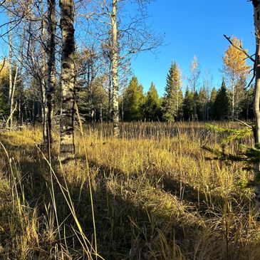 Mountain States Views