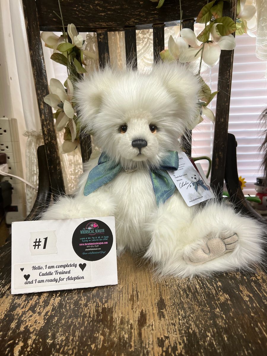 Charlie Year Bear 2020 Charlie Year Bear 2020