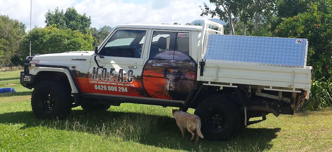 North Queensland Feral Animal Control