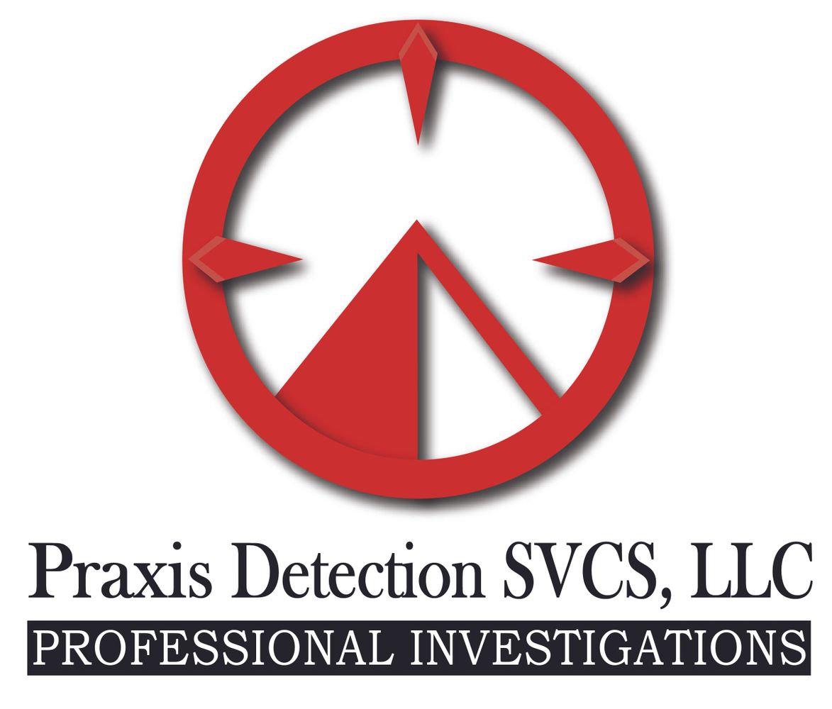 Amarillo Private Investigator Digital Forensics Fraud Investigation Process Service