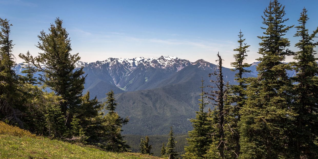 Olympic National Park