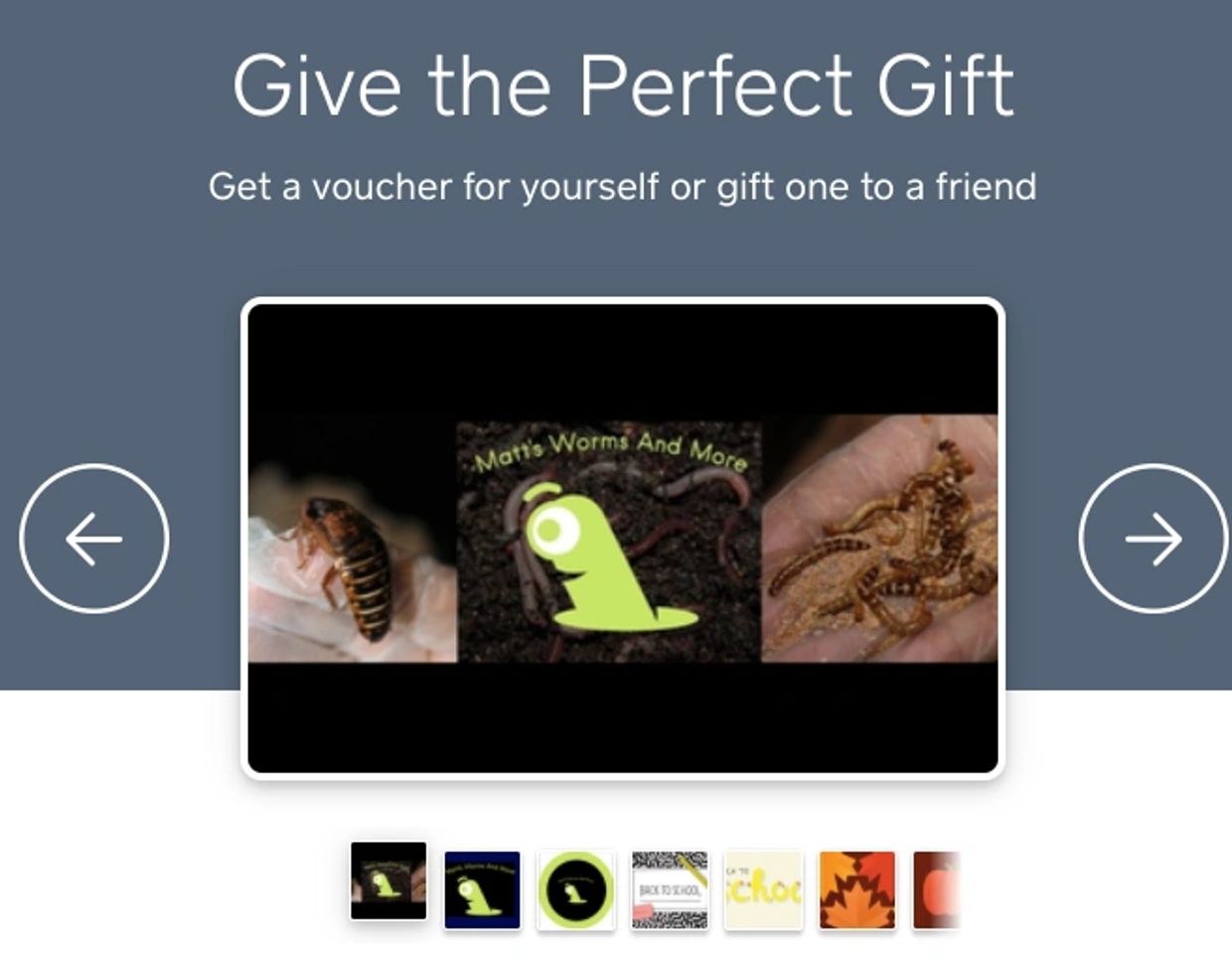 Matt's Worms And More Gift Cards
Dubia Roaches, Worms, Superworms, Waxworms, Hornworms