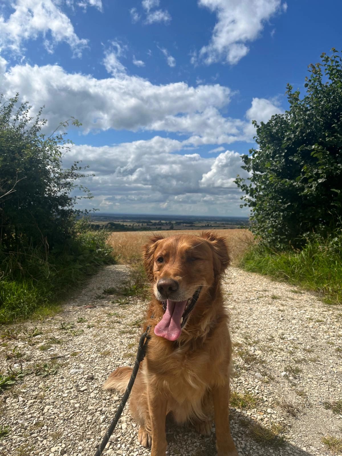 The Vale of York in the Yorkshire Wolds and bill