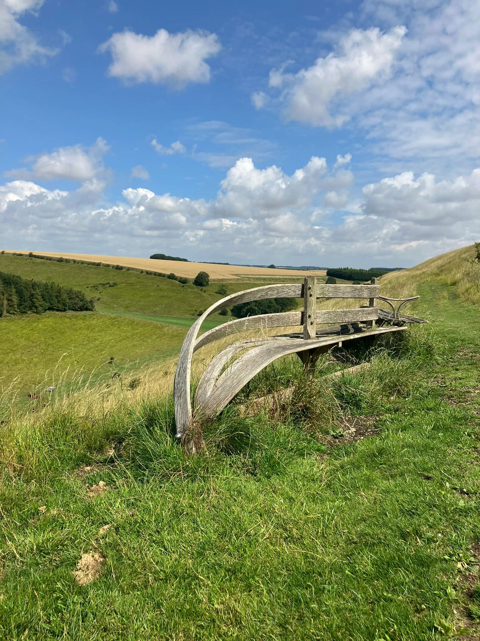 Horse Dale and the Secret Poetry Bench