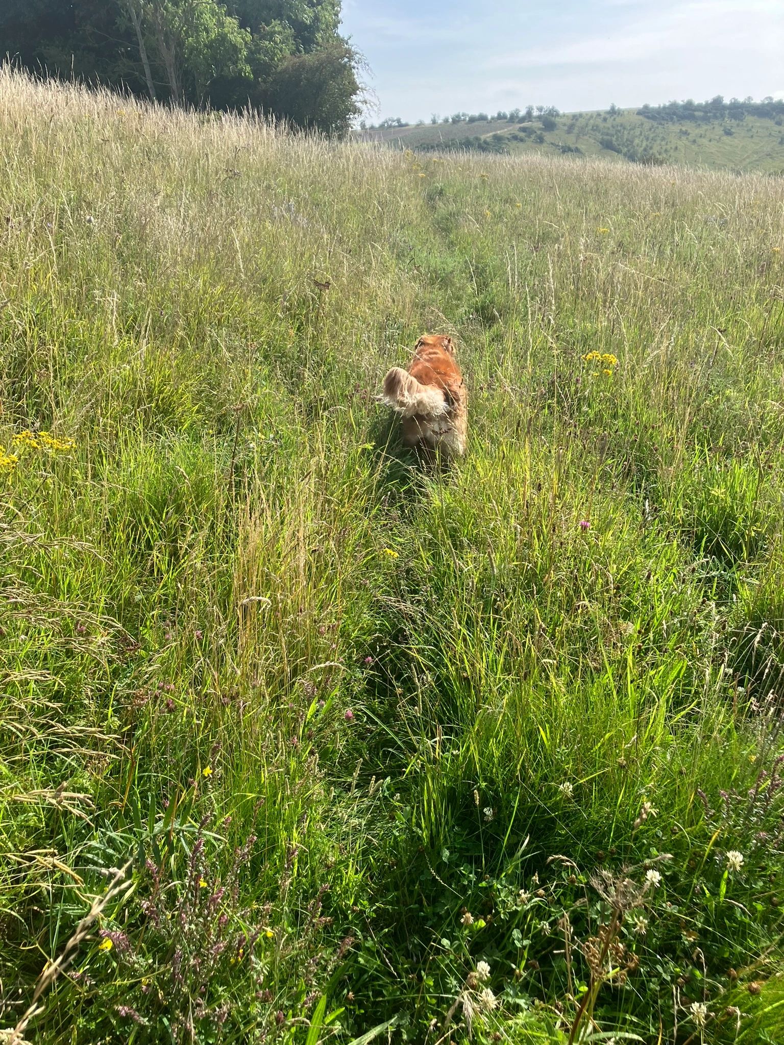 Bill and Millington Dale