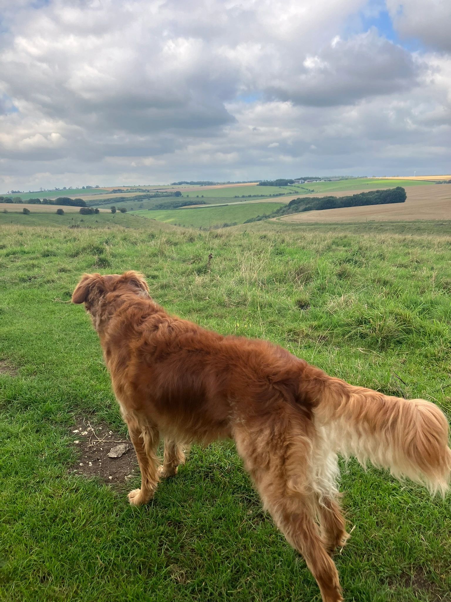 Bill overlooking Pasture Dale