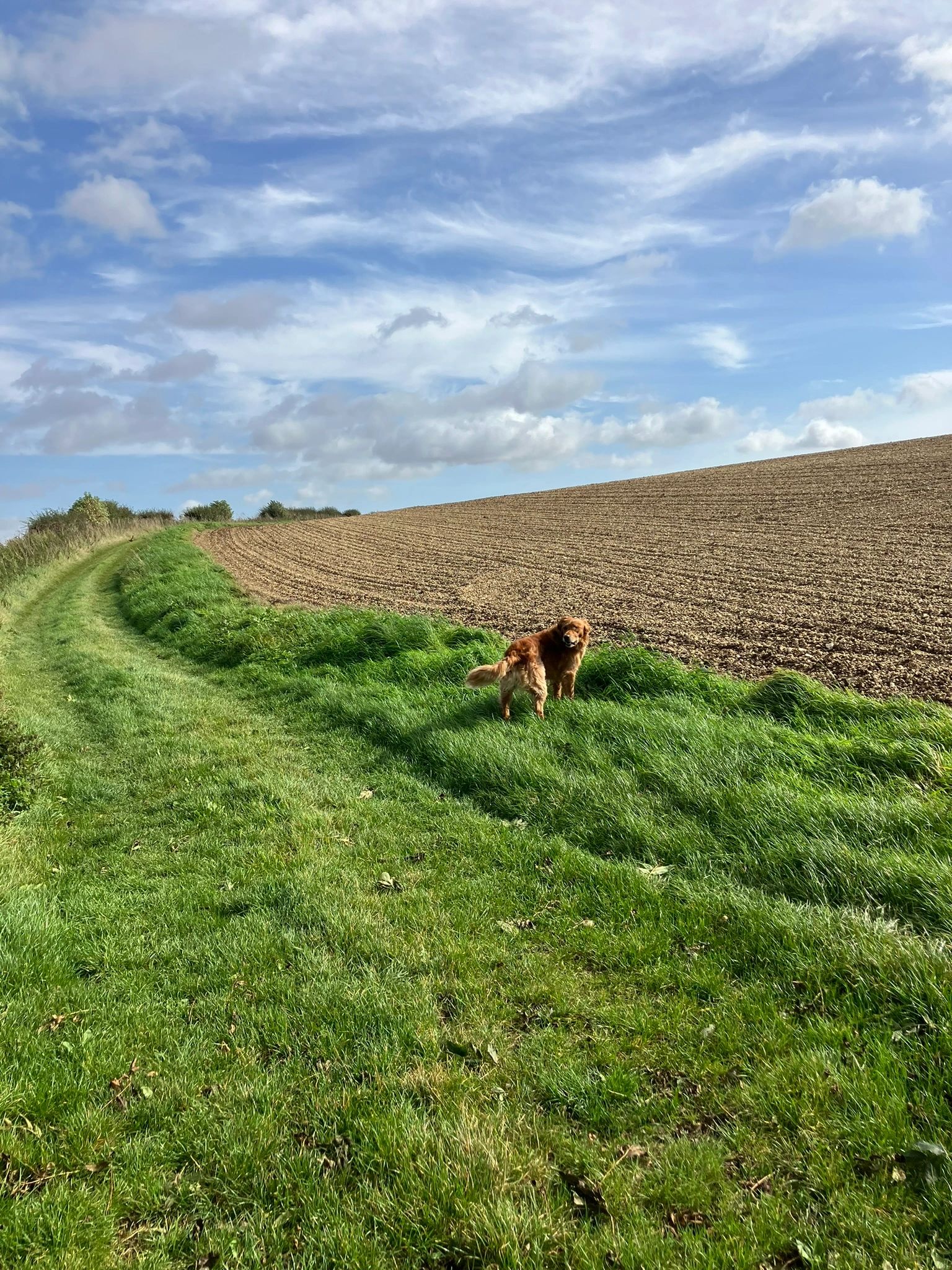 Wold Rangers Way