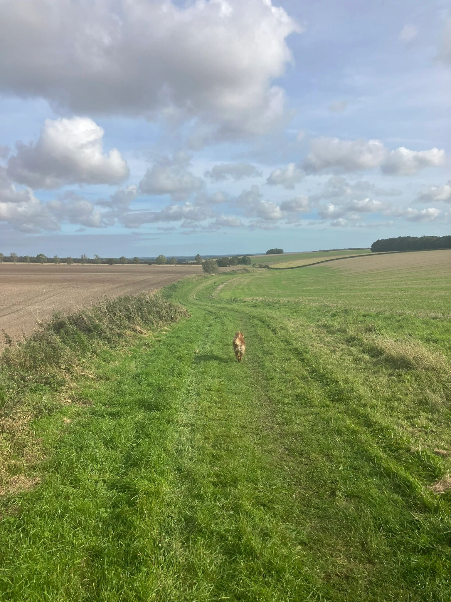 Bill walking the Wolds Rangers Way