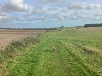 Wolds Rangers Way