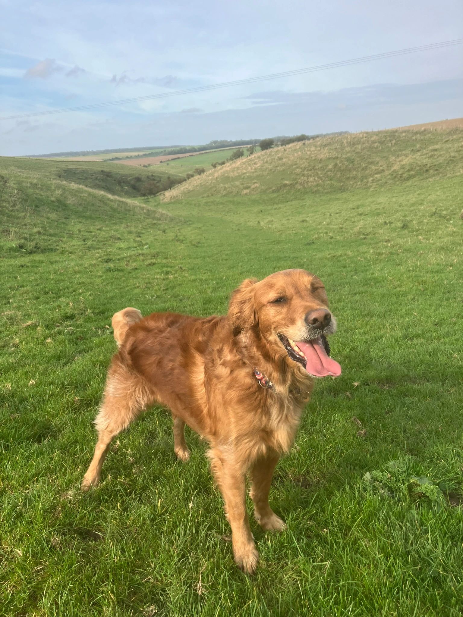 Bill in Cottam Dale