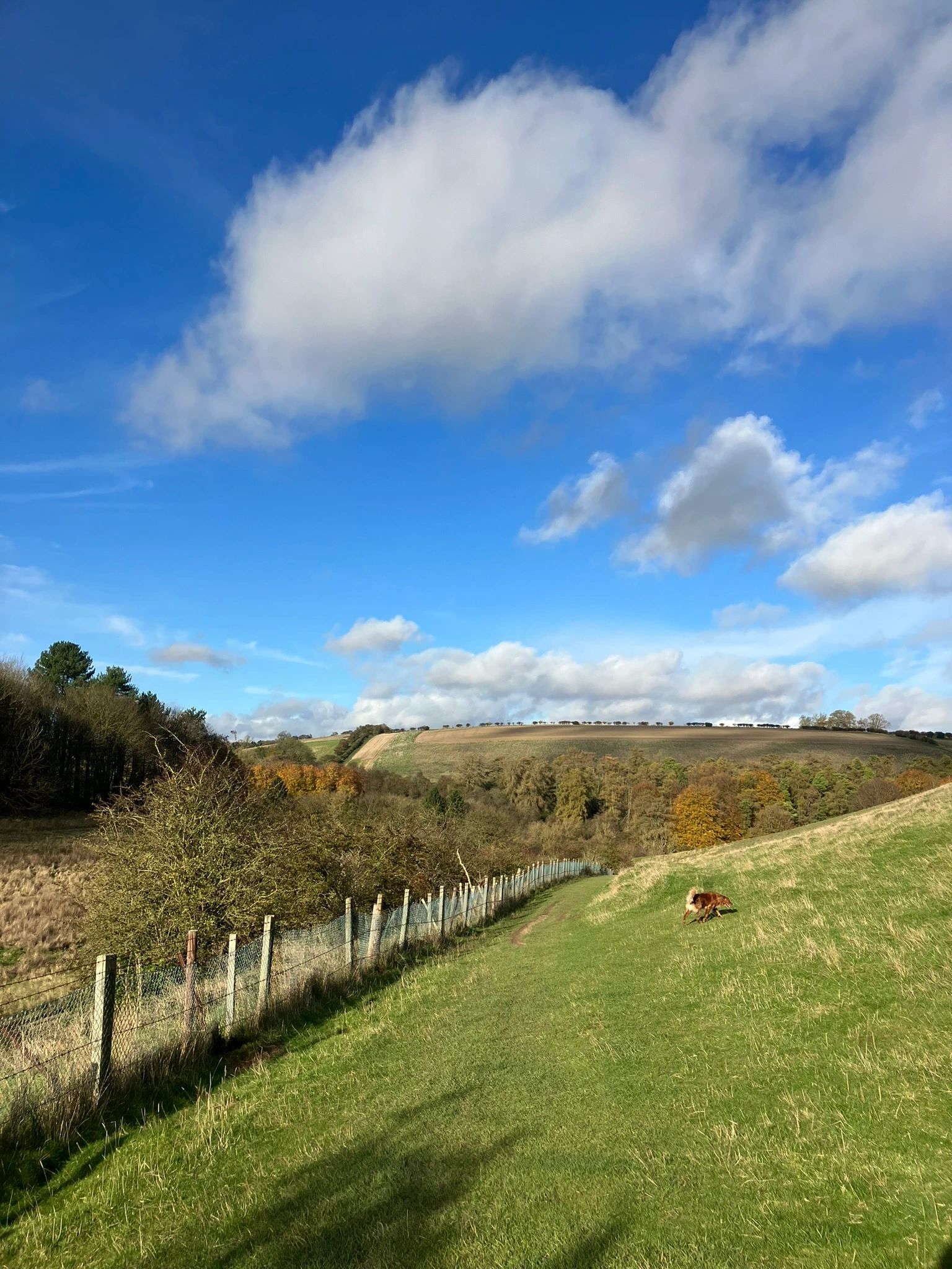 Comber Dale