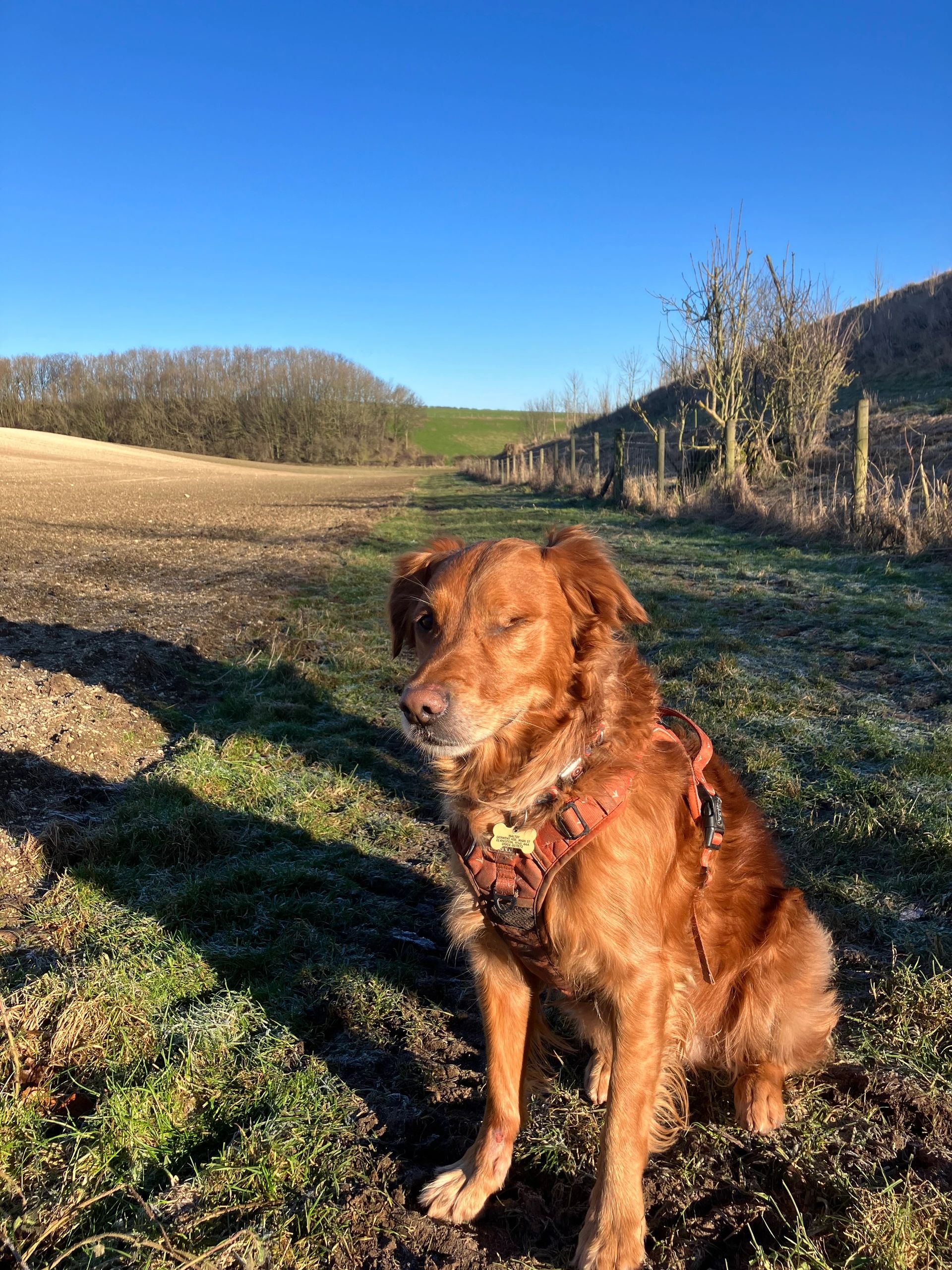 The Wold Rangers Way