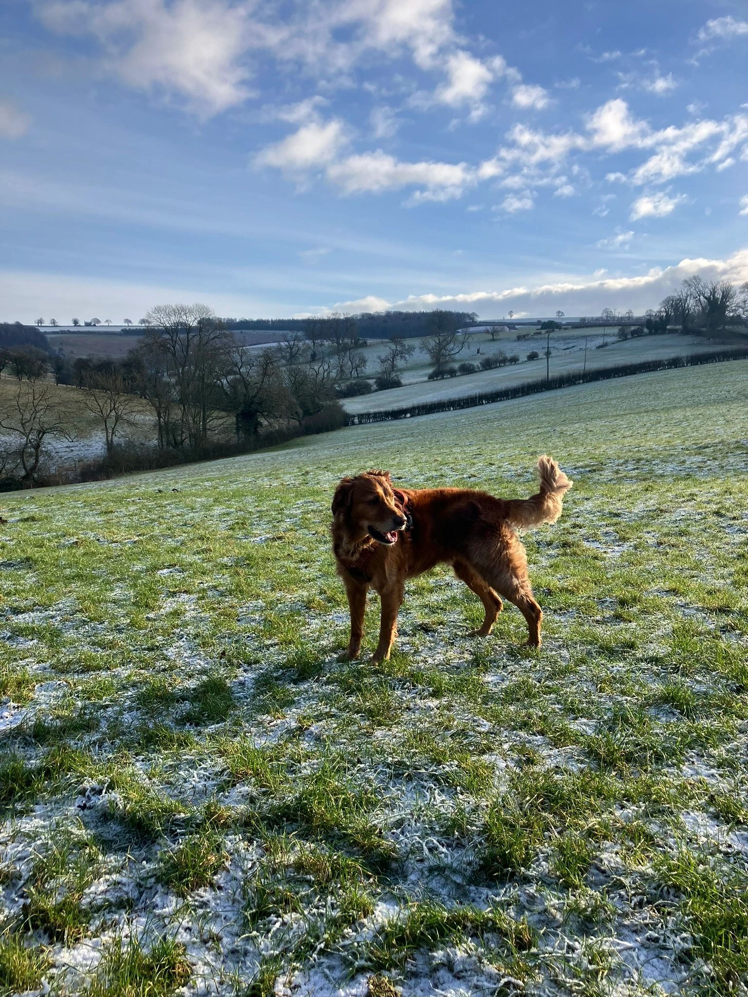 Bill in Kirby Underdale