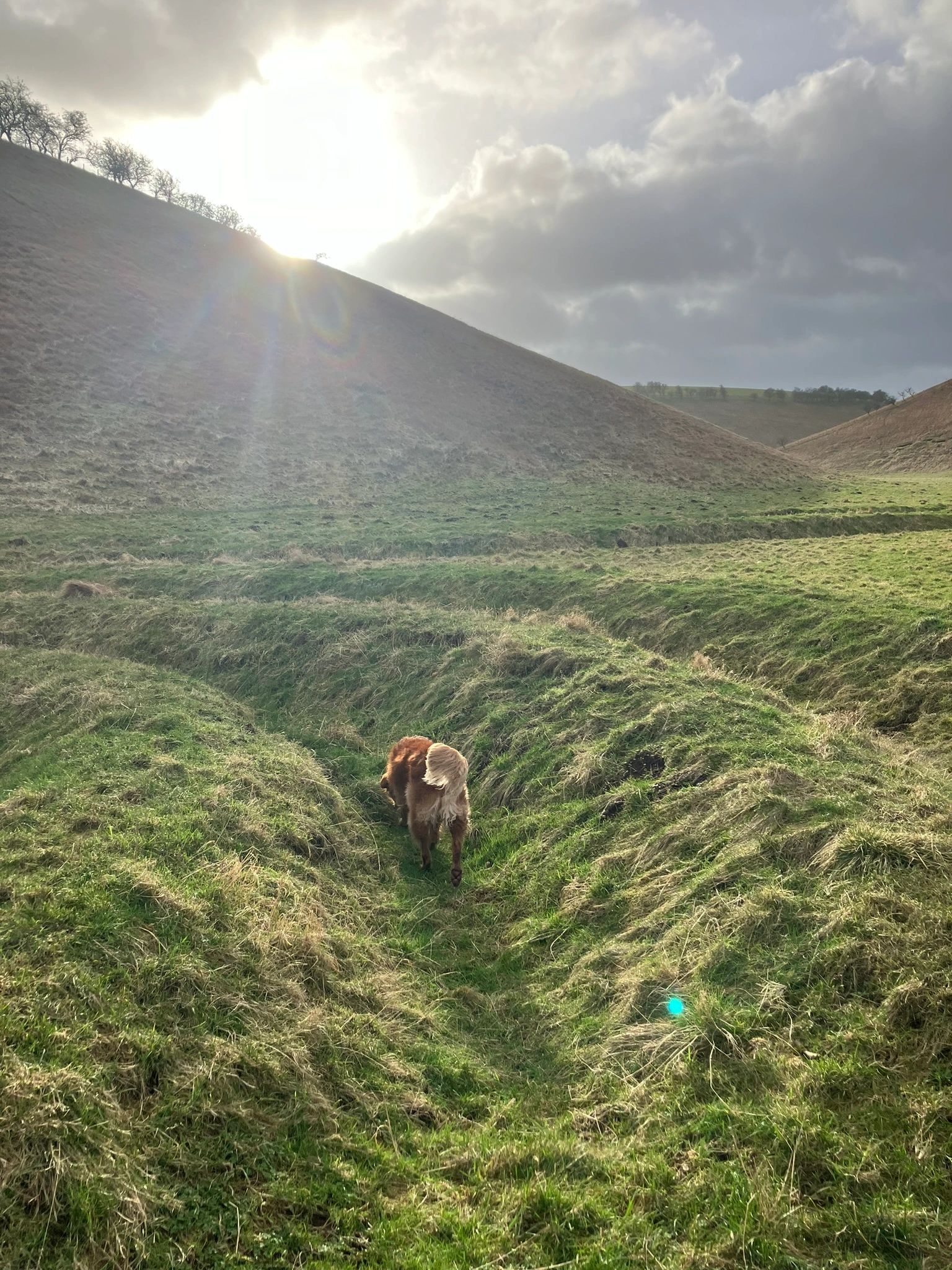 Waves and Time in Thixen Dale