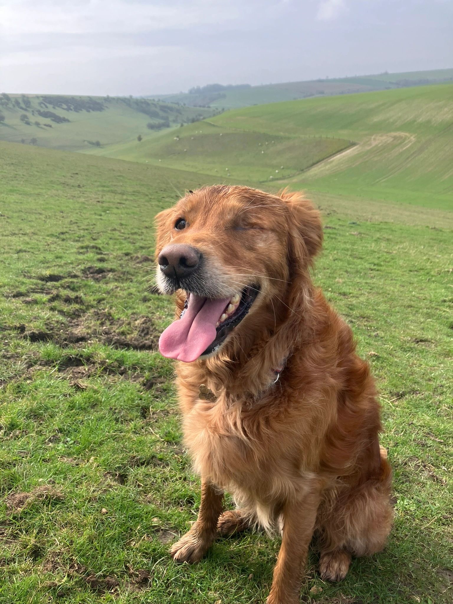 Bill in North Dale