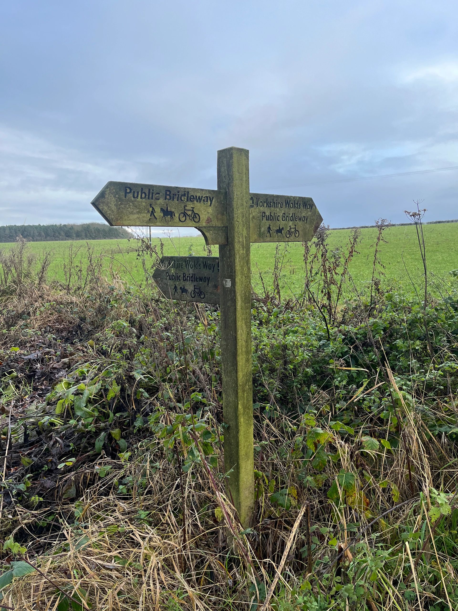 Footpaths - why, where and when?