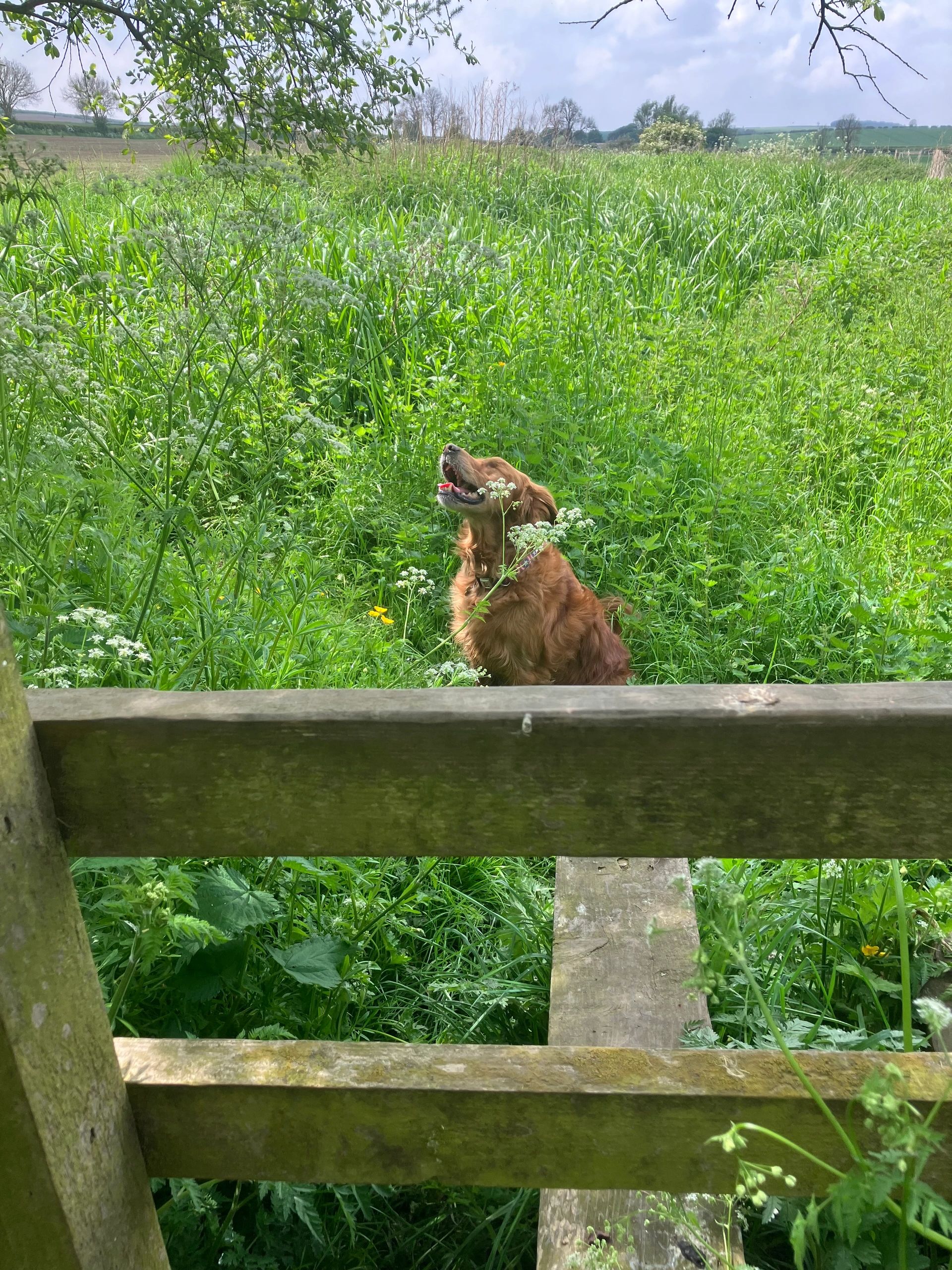 Bill and stile in West Lutton