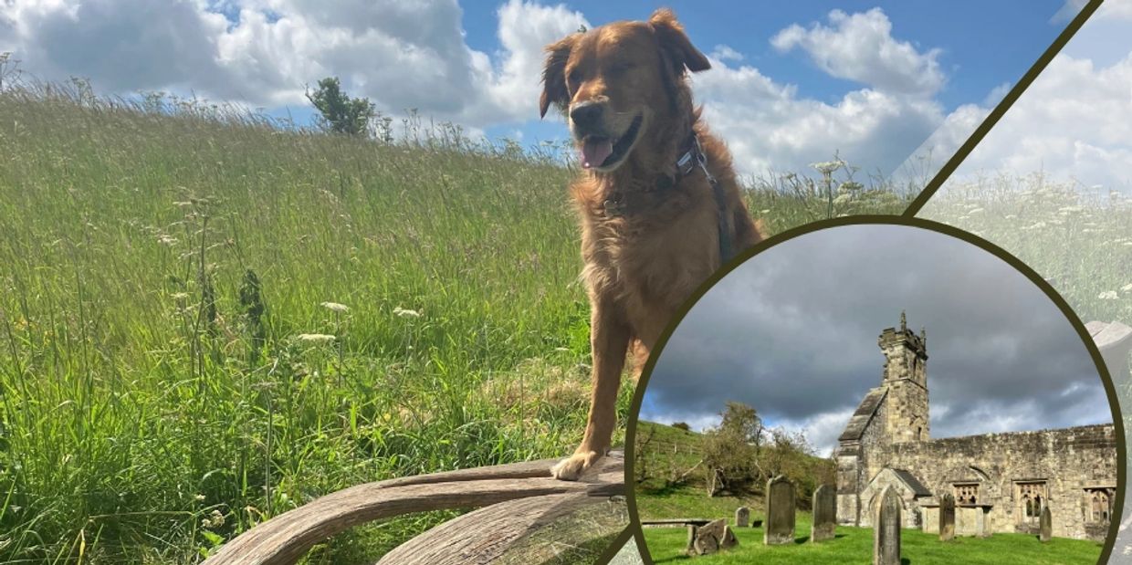Short Breaks - Bill on Millington Poetry Bench and St Andrews at Wharram Percy