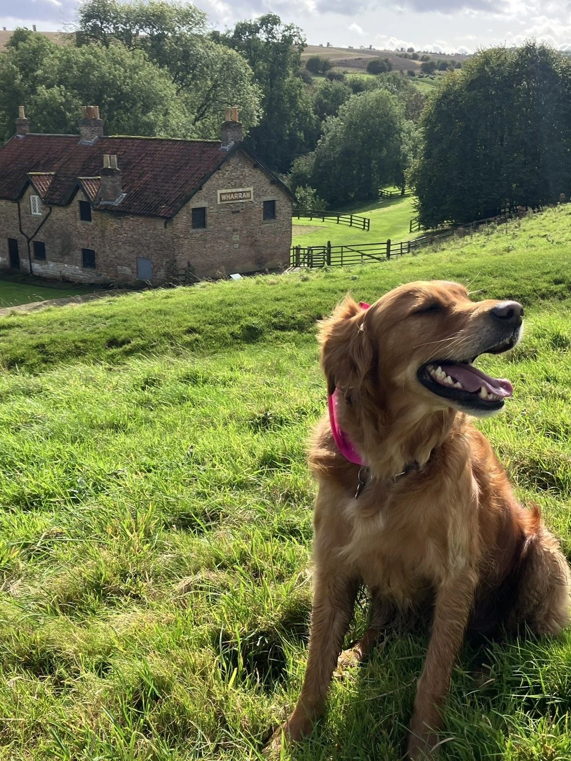 Wharram Percy