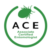 Constant Pest Management 