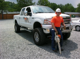 Tree Service Kennesaw Ga