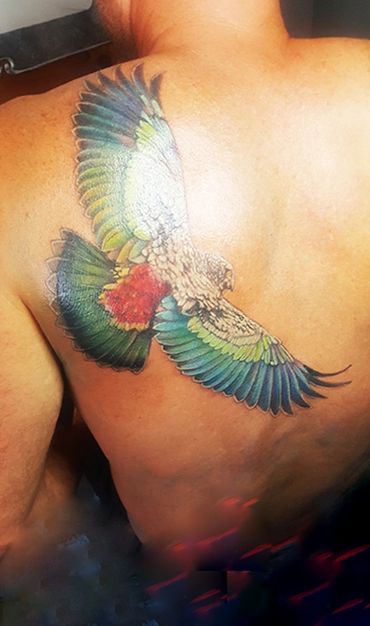 Bird tattoo NZ. Tattoo. Ivar Treskon,
 Obsidian Ink Sumner Tattoo, Christchurch.