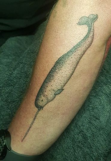 Narwhal Tattoo. Tattoo. Ivar Treskon,
 Obsidian Ink Sumner Tattoo, Christchurch.