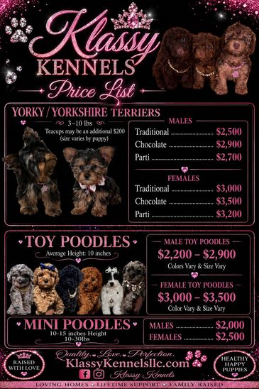 Klassy Kennels price list for Yorkie, Toy, and Mini Poodles.