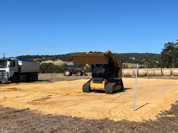 SHED PAD - HENT