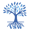 VSW