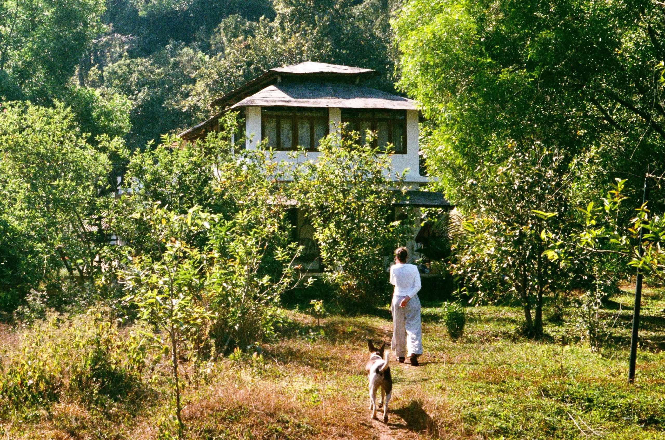 Off The Grid farm accommodation entrance for family vacation and nature lovers, inside the jungle.