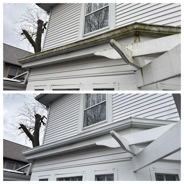 Gutter Cleaning