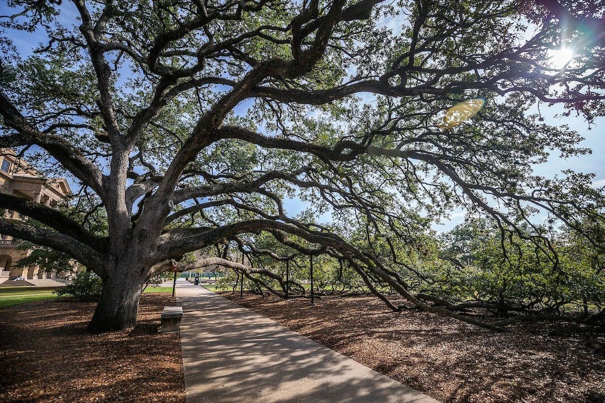 Aggie-owned, non-medical elderly home care